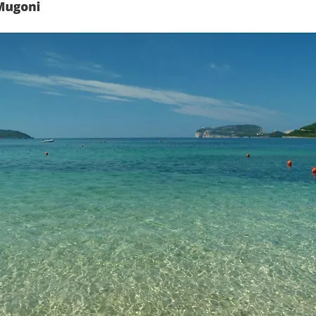 Feriehus - House With Panoramic View Immersed In Full Nature *