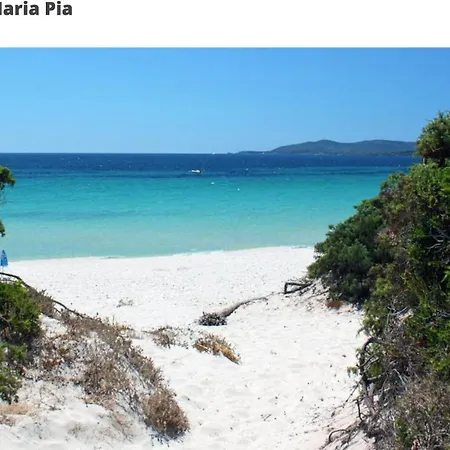 Feriehus - House With Panoramic View Immersed In Full Nature *